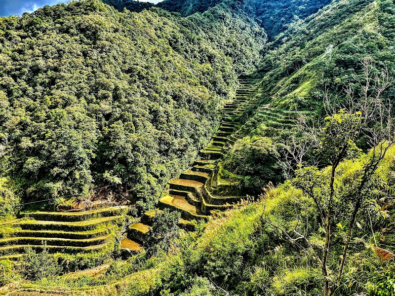 Photo 1 at Rice Terraces of the Philippine Cordilleras in Banaue
