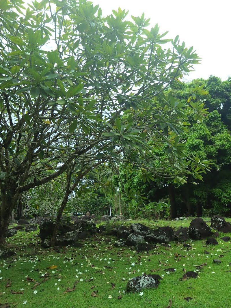 Photo 4 at Marae Ta'ata in Pā'ea