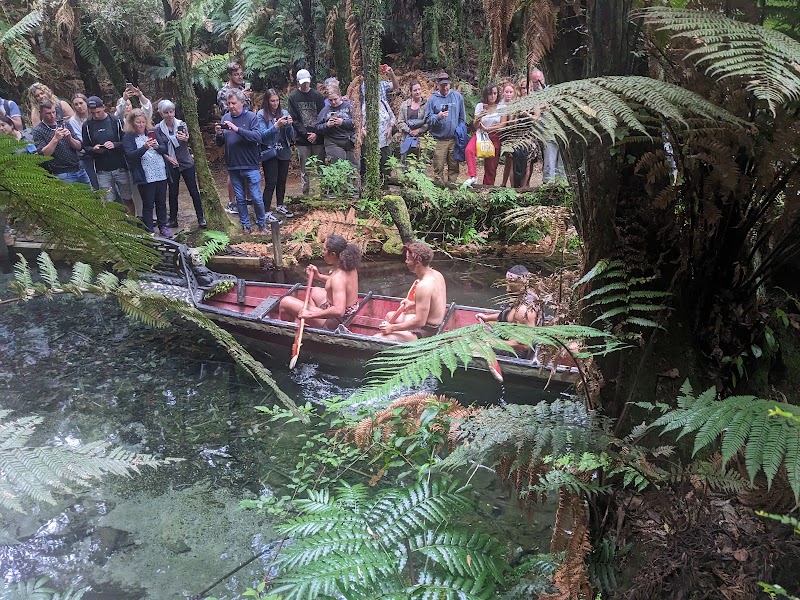 Photo 1 at Mitai Maori Village in Rotorua