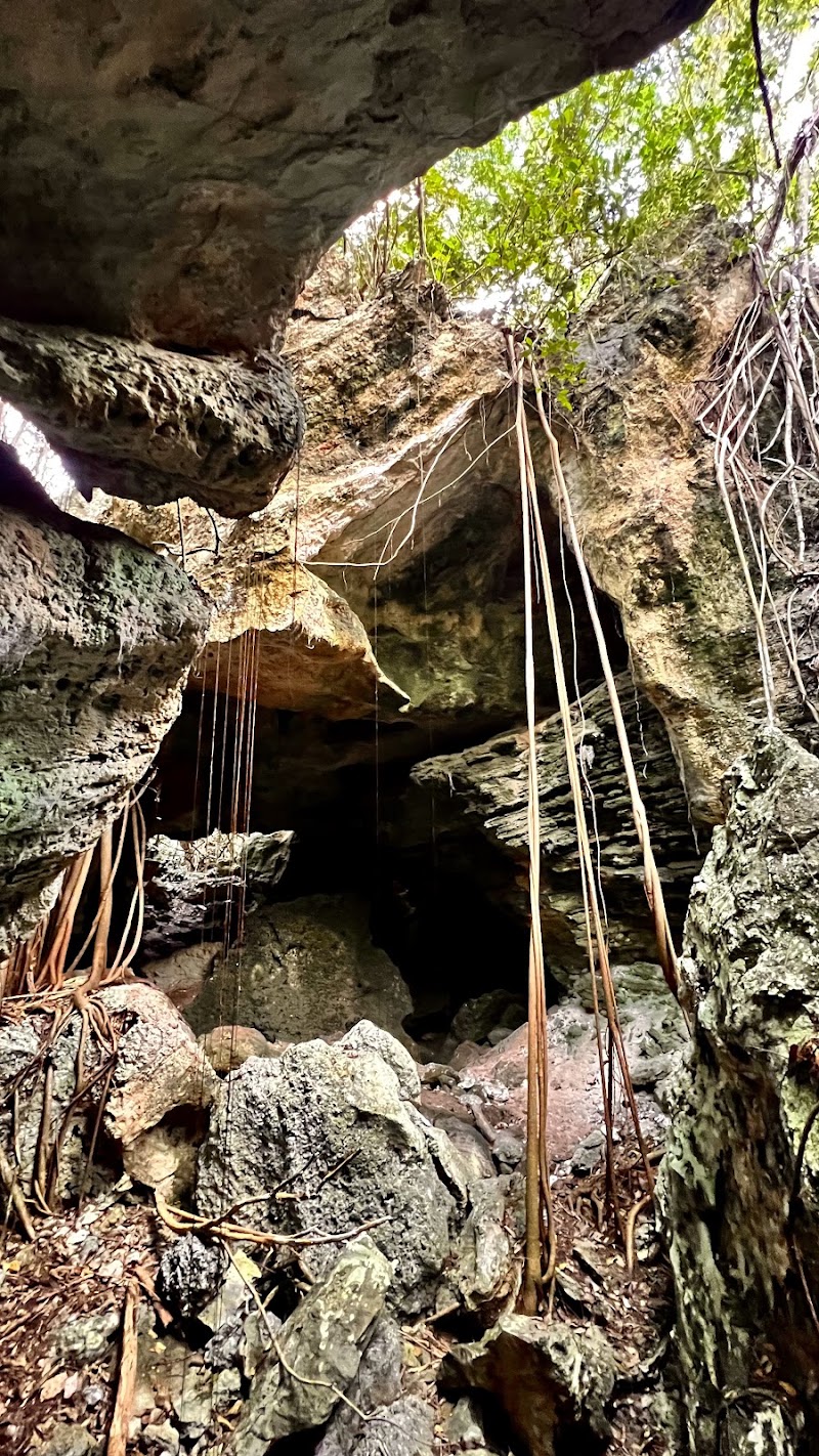 Photo 3 at Cathedral Cave in Rock Sound