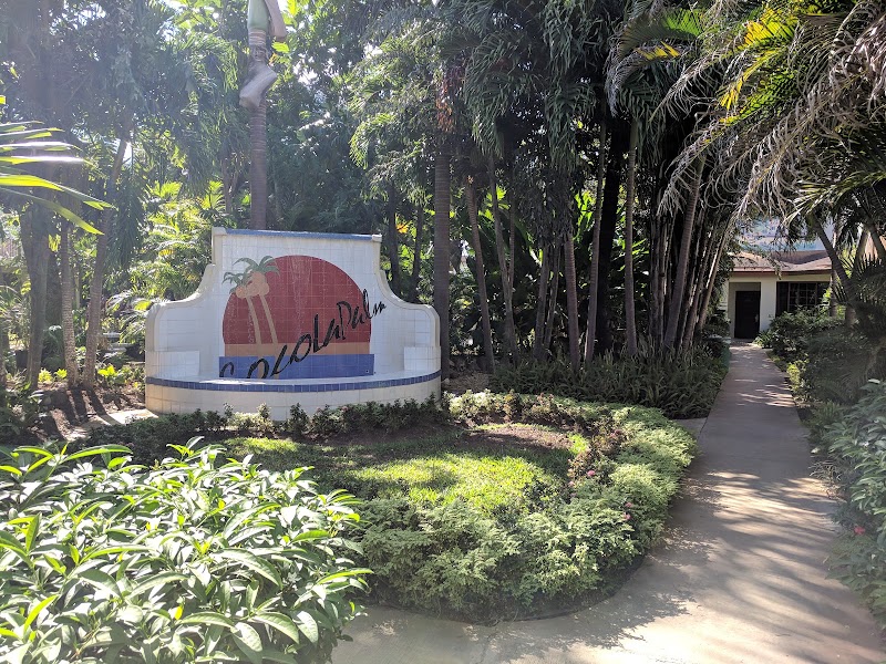 Photo 6 at Coco La Palm Seaside Resort Hotel in Negril