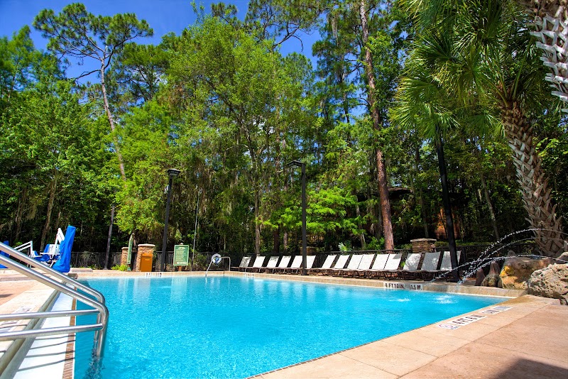 Photo 5 at Disney's Saratoga Springs Resort & Spa in Lake Buena Vista