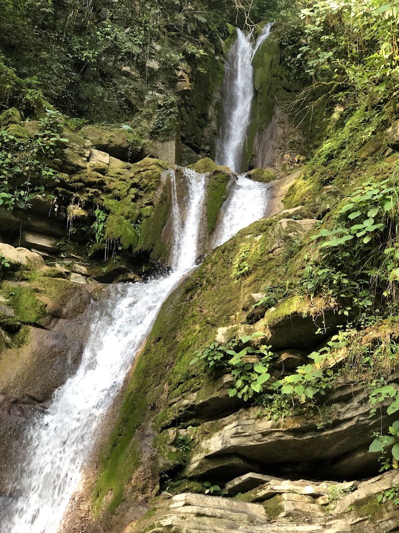 Photo 5 at Las Pozas in Xilitla