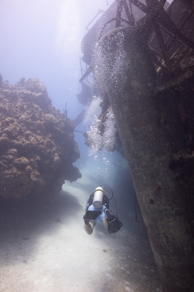 Photo 4 at Kittiwake Shipwreck & Artificial Reef in West Bay