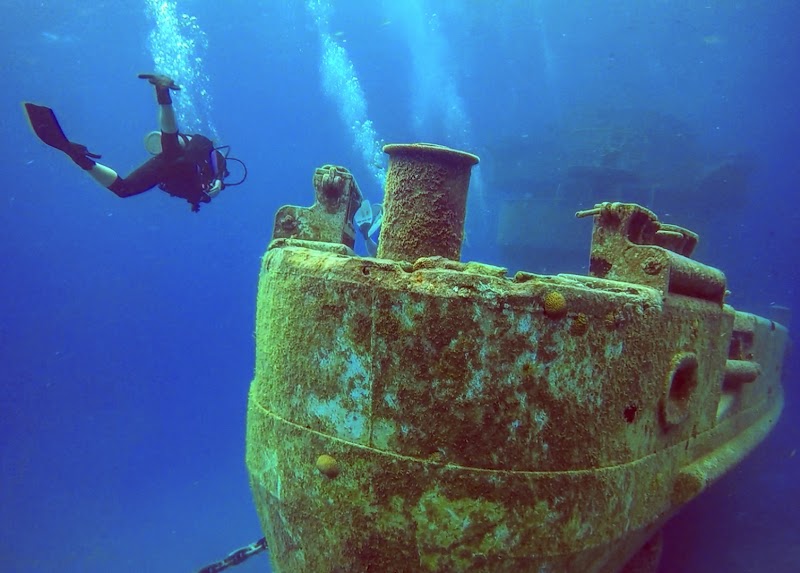 Kittiwake Shipwreck & Artificial Reef in West Bay