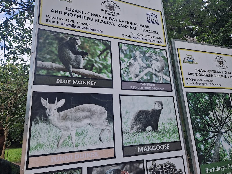 Photo 6 at Jozani Forest in Mapopwe