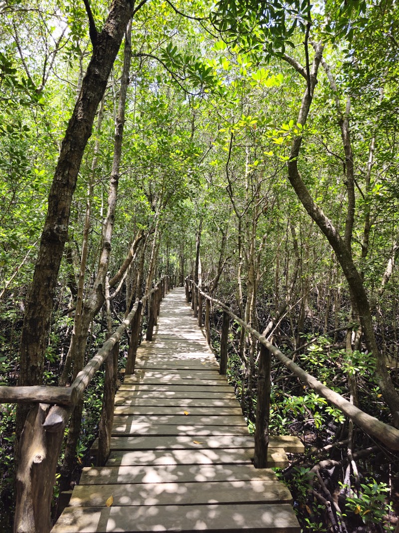 Photo 1 at Jozani Forest in Mapopwe