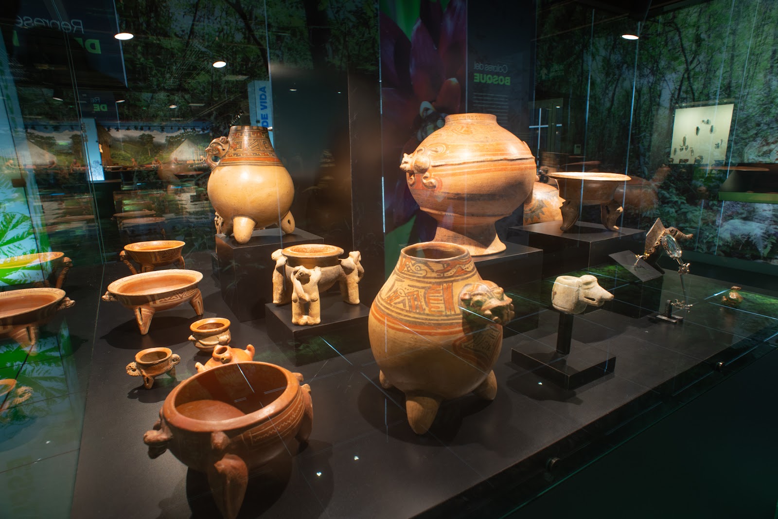 Museo del Jade y la Cultura Precolombina in San José
