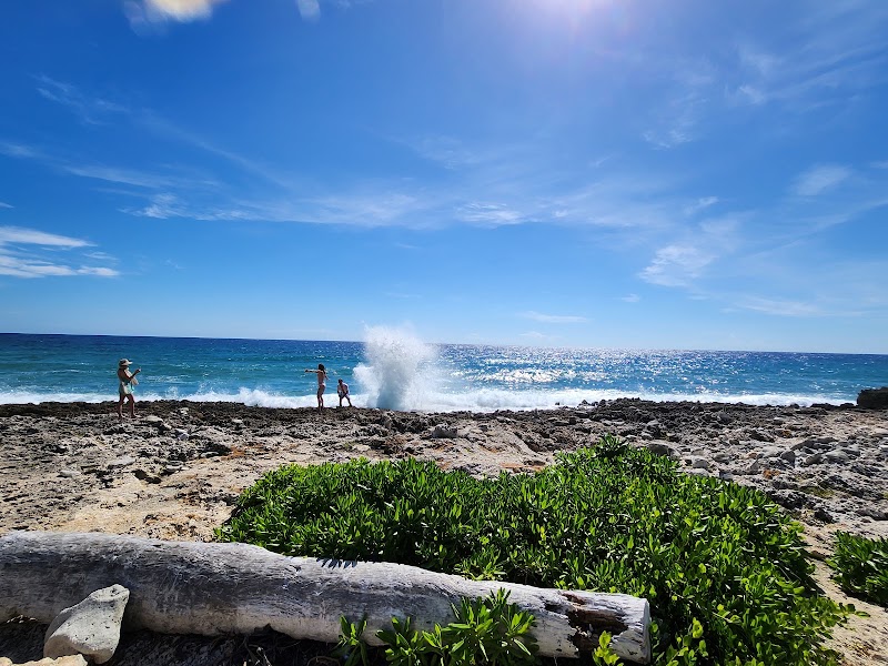 Photo 2 at The Blowholes in 