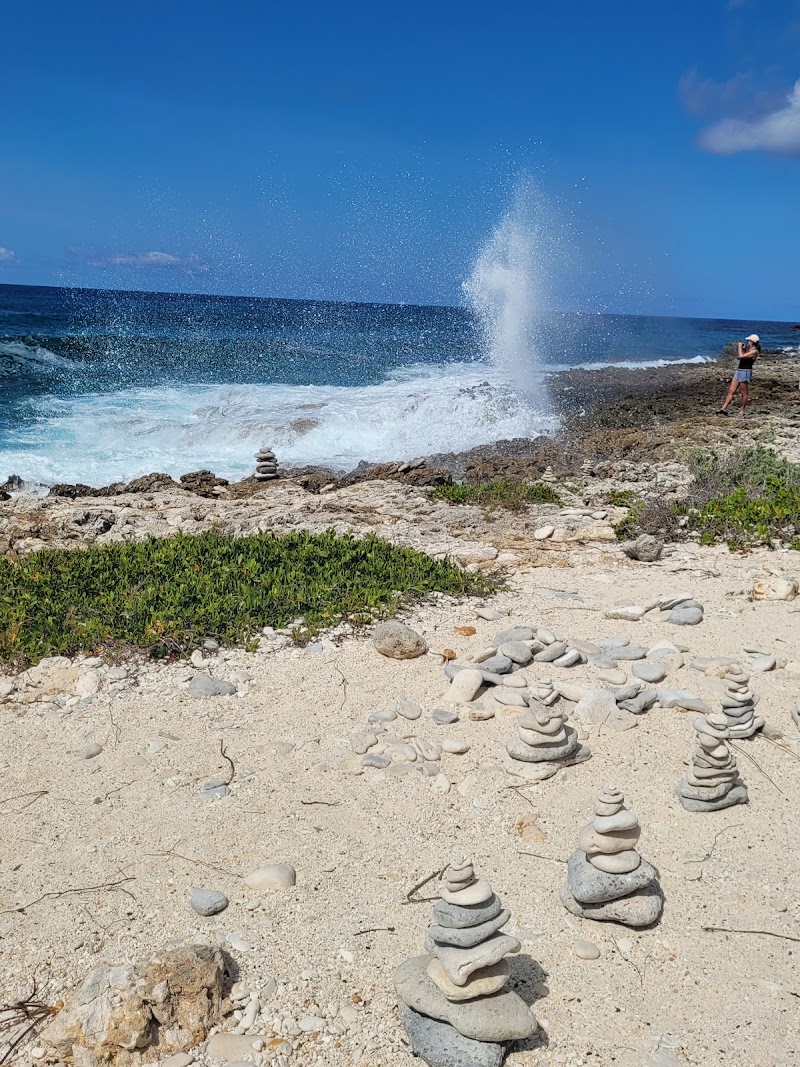 Photo 3 at The Blowholes in 