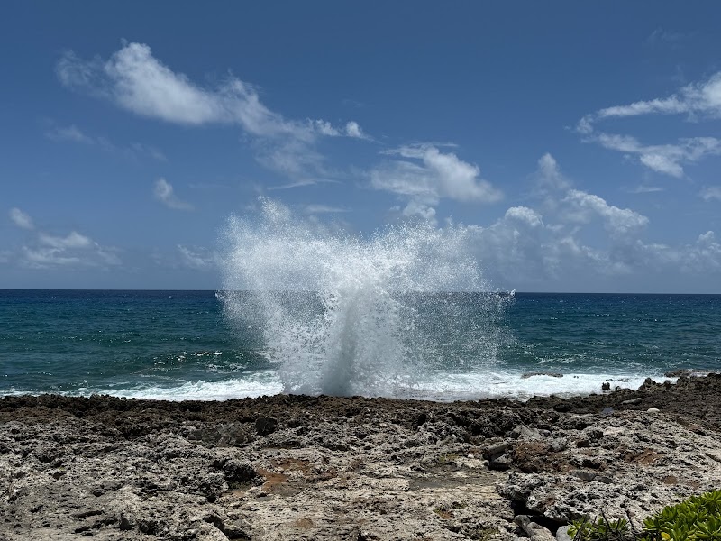 The Blowholes in 