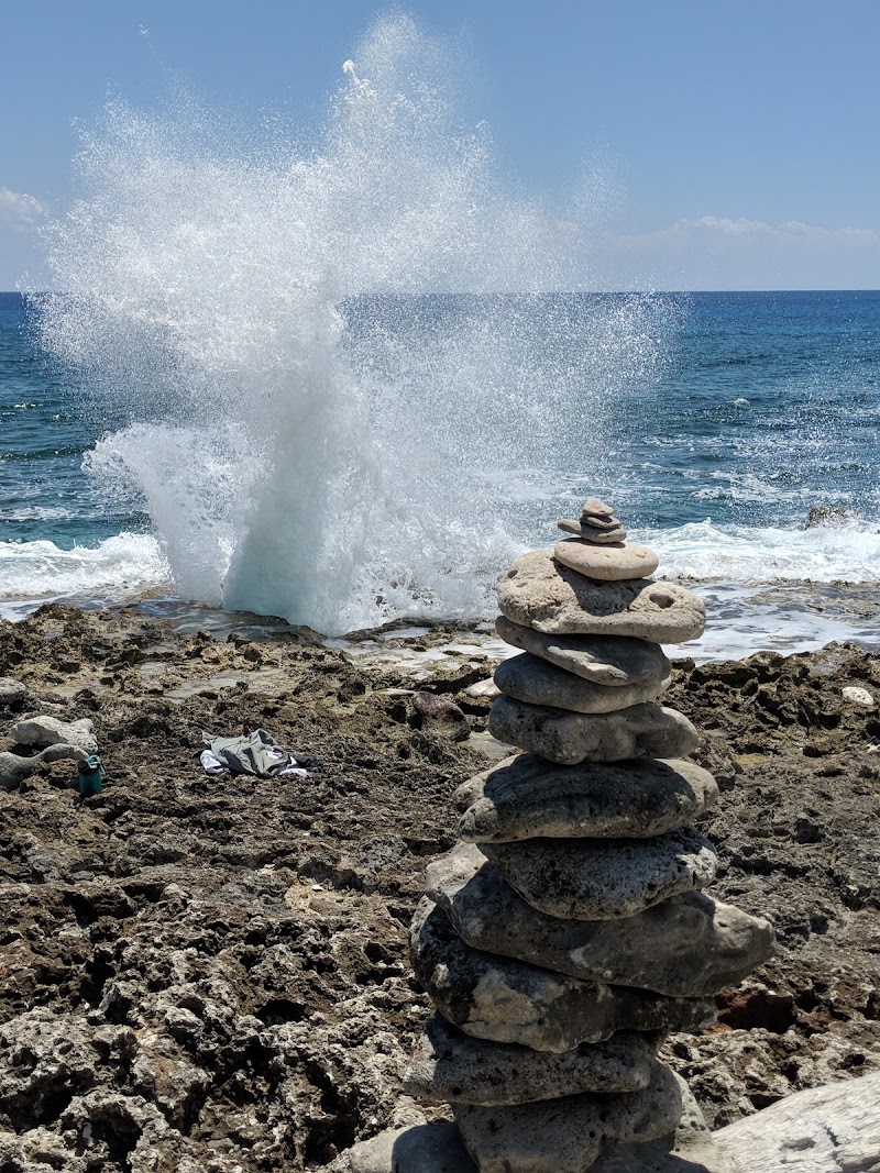 Photo 1 at The Blowholes in 