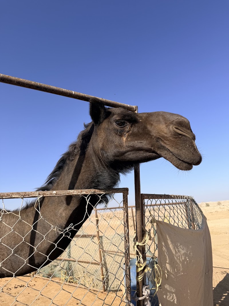 Photo 5 at Salalah Adventure Tours in ولاية طاقة
