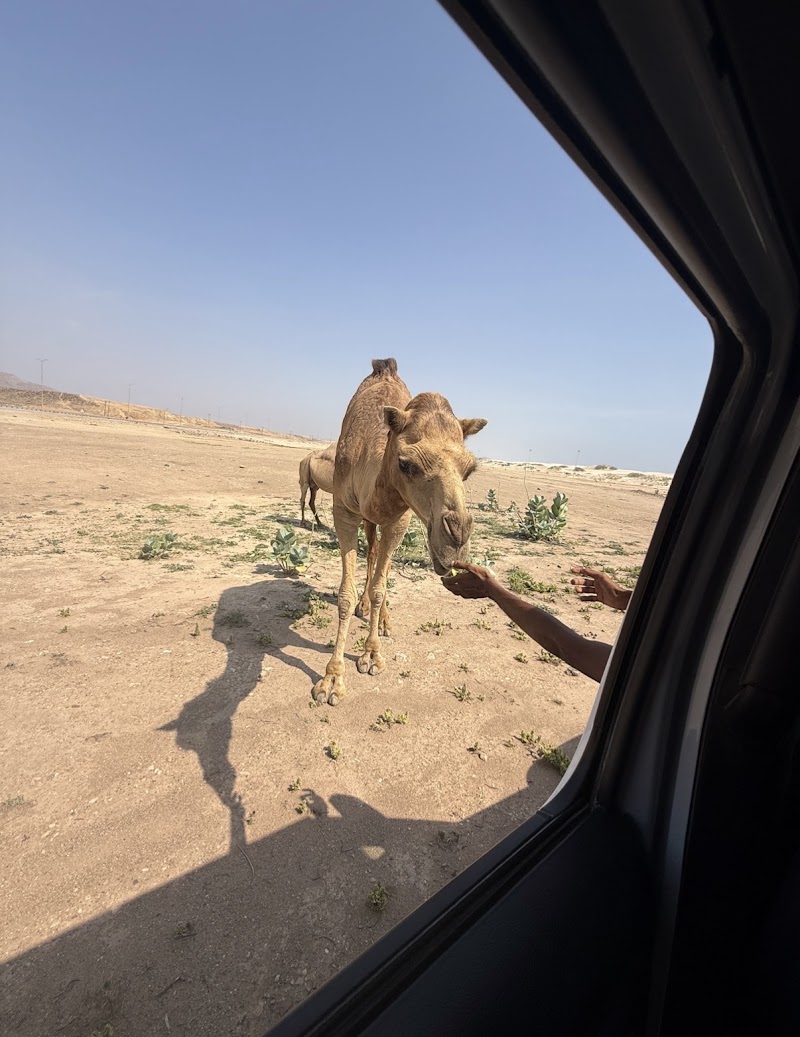 Photo 4 at Salalah Adventure Tours in ولاية طاقة