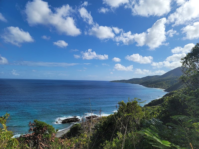 Photo 4 at Annaly Bay / Carambola Tide Pools Trailhead in 