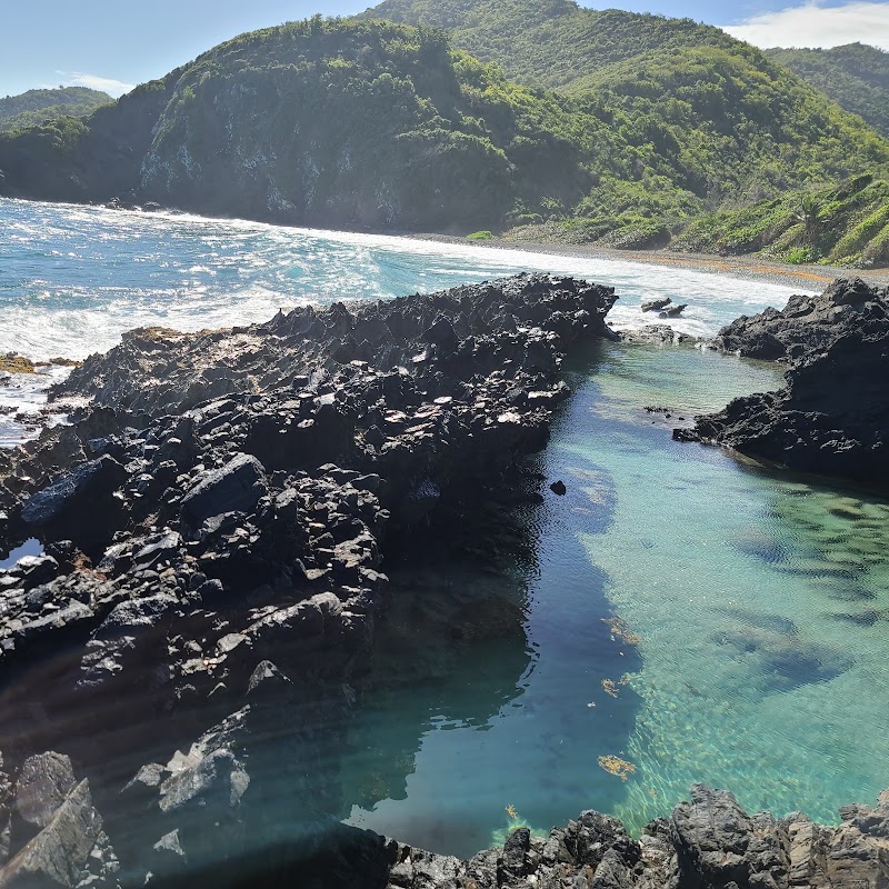 Photo 3 at Annaly Bay / Carambola Tide Pools Trailhead in 