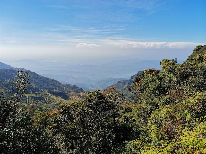 Photo 1 at Horton Plains National Park in 