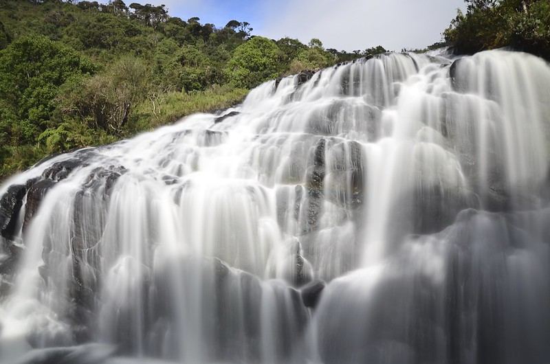 Photo 2 at Horton Plains National Park in 