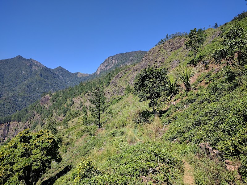Photo 6 at Horton Plains National Park in 