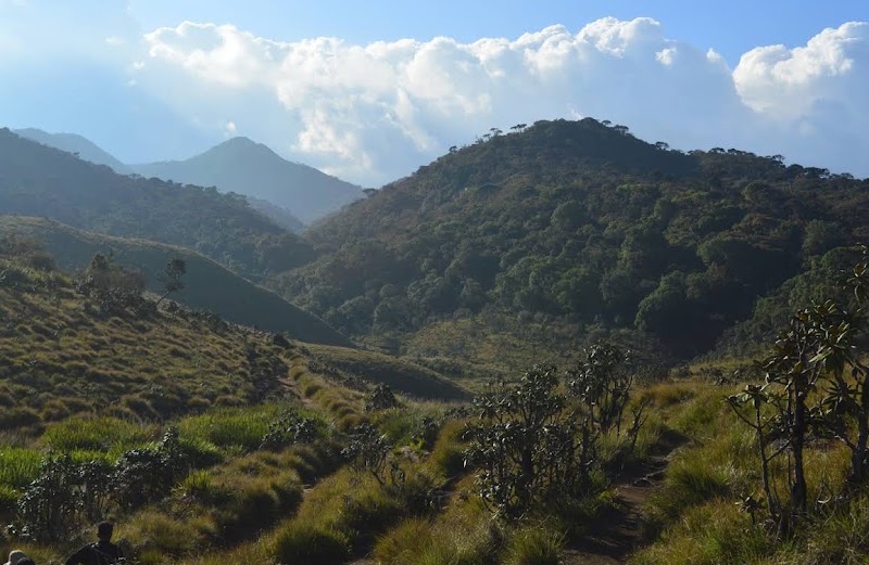 Photo 5 at Horton Plains National Park in 