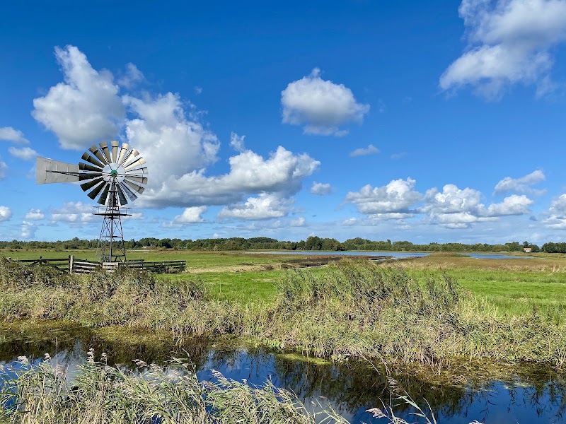 Photo 2 at De Alde Feanen National Park in Earnewâld