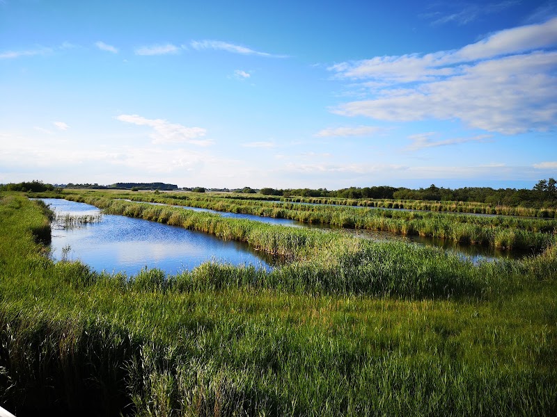 Photo 1 at De Alde Feanen National Park in Earnewâld