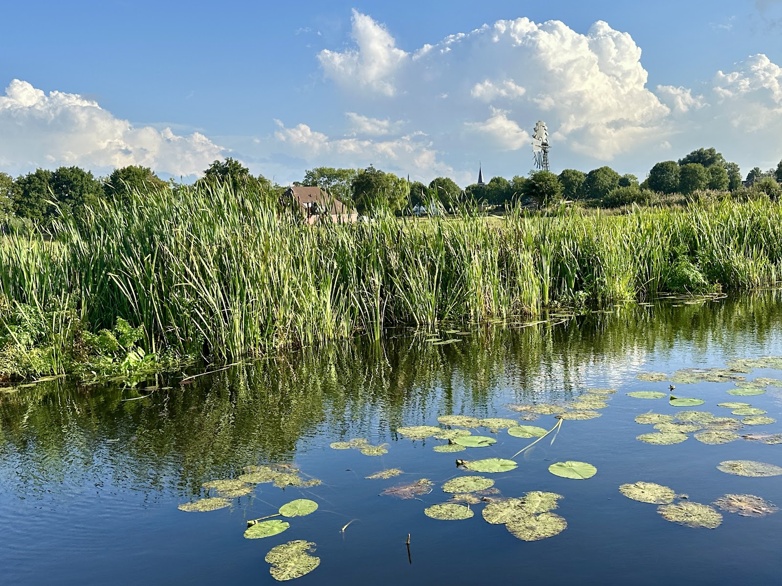 De Alde Feanen National Park in Earnewâld
