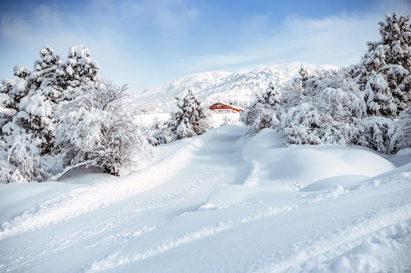Photo 4 at Le Chalet by Amirsoy in Gazalkant