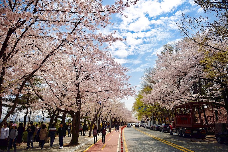 Photo 4 at Yeouido Hangang Park in Yeouidong-ro