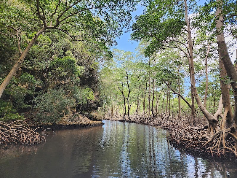 Parque Nacional Los Haitises in 