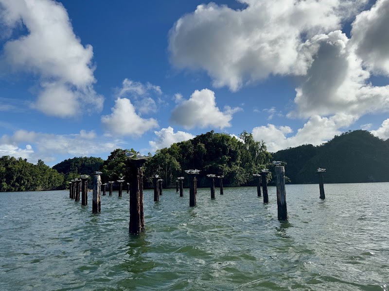 Photo 5 at Parque Nacional Los Haitises in 