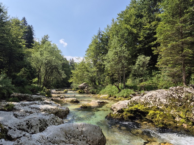 Photo 3 at Triglav National Park in Bohinjsko jezero
