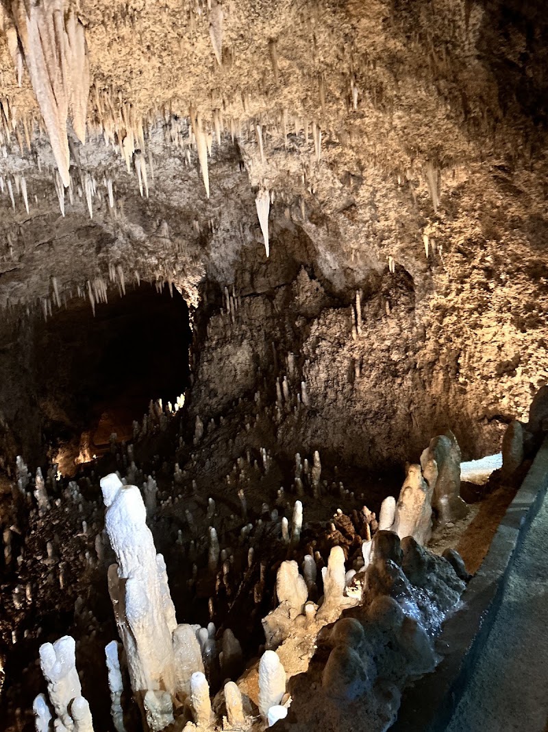 Photo 6 at Harrison's Cave Eco-Adventure Park in Welchman Hall