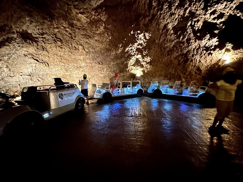 Photo 2 at Harrison's Cave Eco-Adventure Park in Welchman Hall