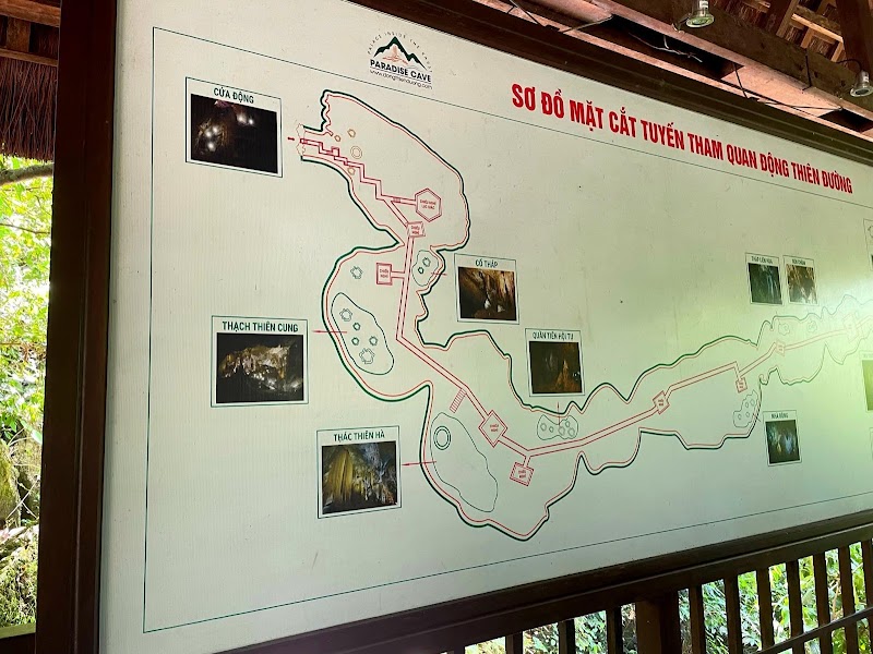 Photo 4 at Paradise Cave in Phong Nha