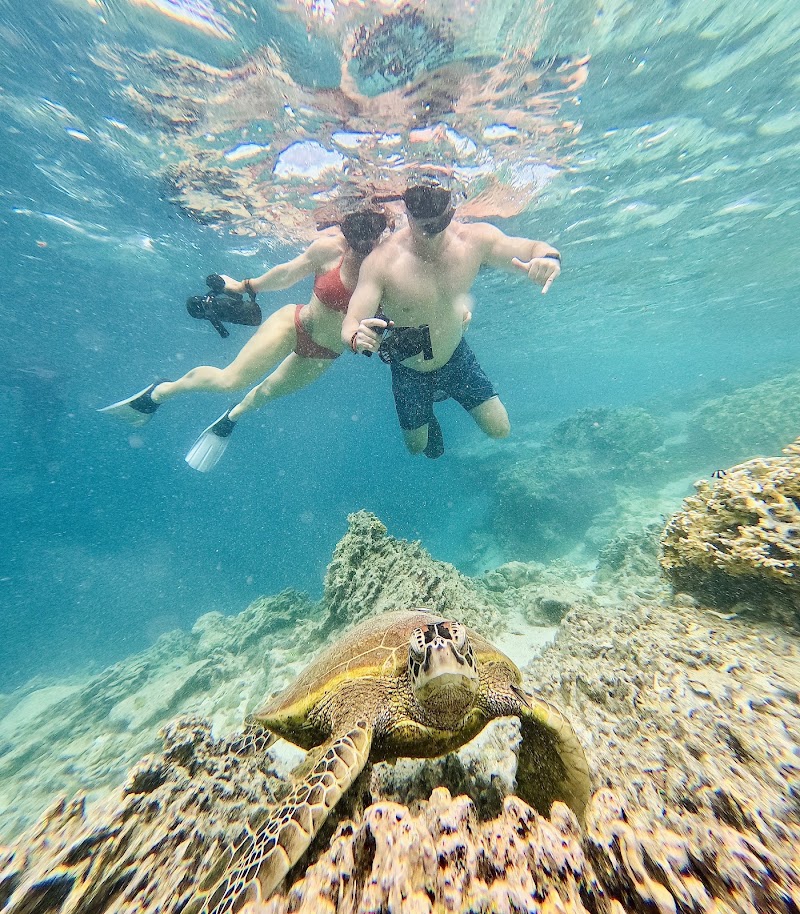 Photo 2 at Ariki Adventures in Takitumu District