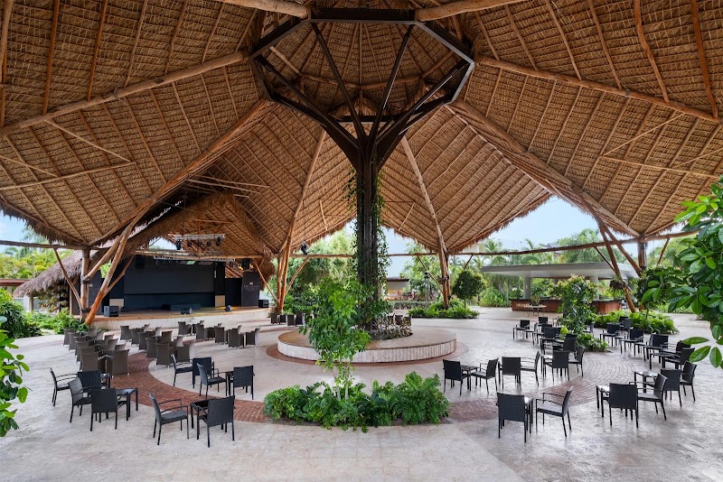 Photo 6 at Dreams Royal Beach Punta Cana in Punta Cana