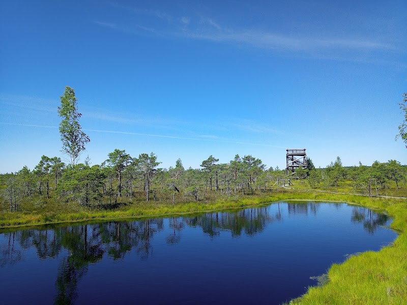 Photo 5 at Kemeri Bog Board Walk Tower in 