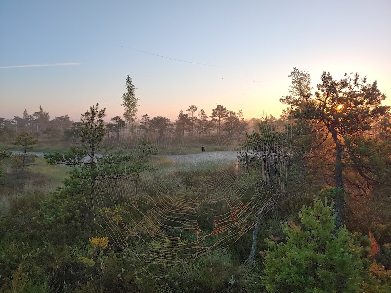 Photo 6 at Kemeri Bog Board Walk Tower in 