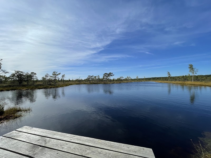 Photo 1 at Kemeri Bog Board Walk Tower in 