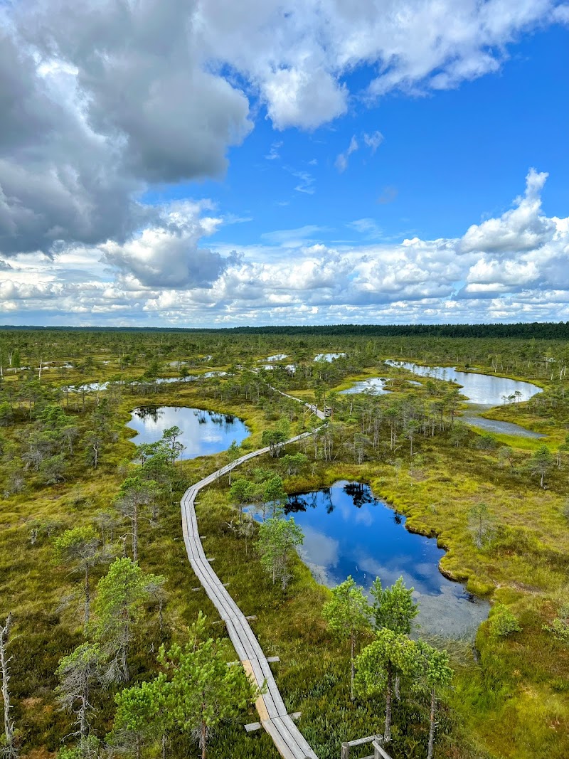 Kemeri Bog Board Walk Tower in 