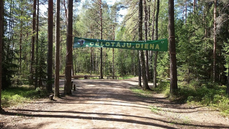 Photo 4 at Kemeri Bog Board Walk Tower in 