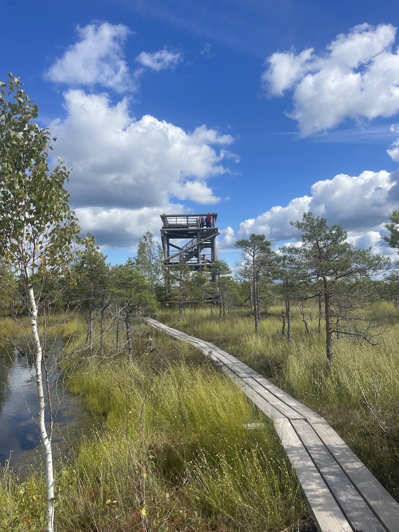 Photo 2 at Kemeri Bog Board Walk Tower in 