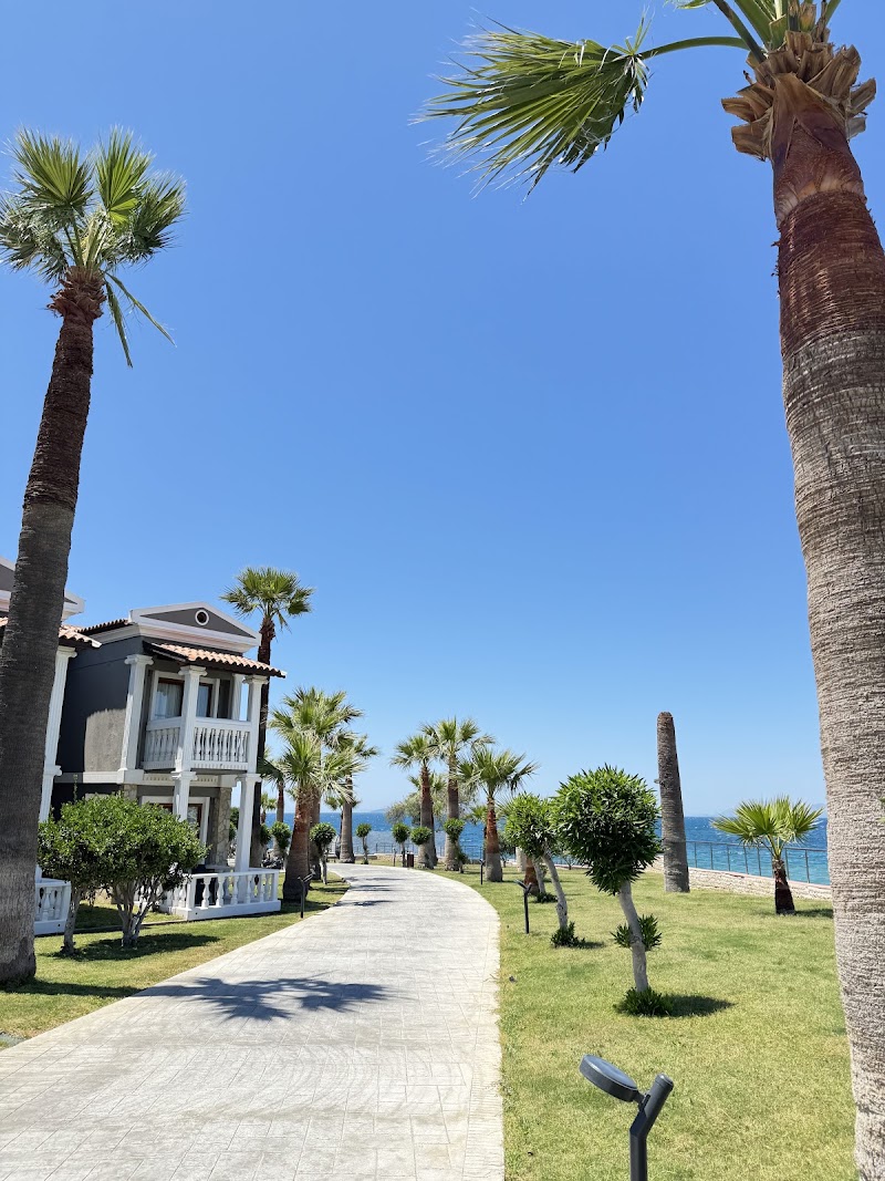 Photo 6 at Lucas Didim Resort in 