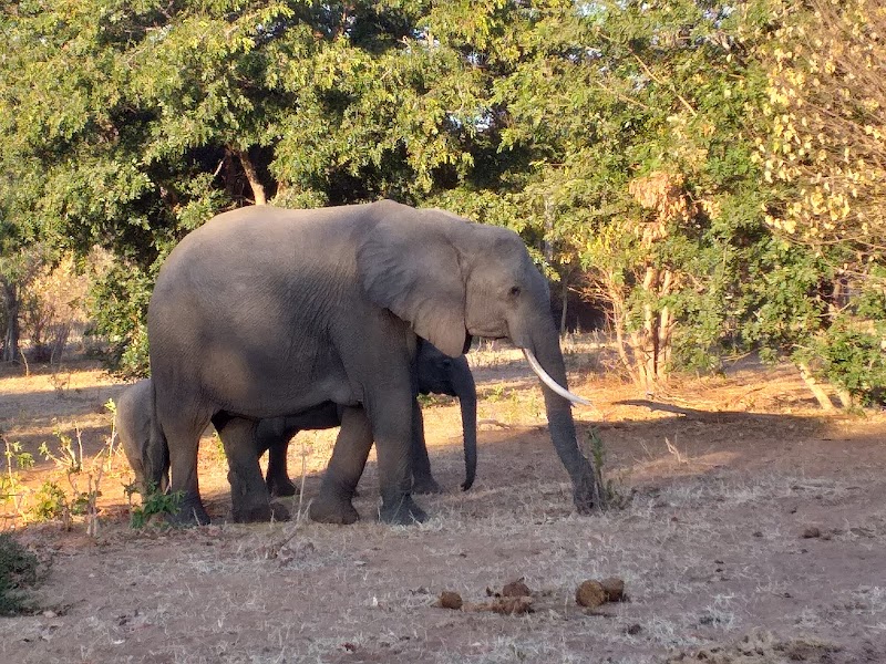 Chobe National Park Stretch Point in Serondela