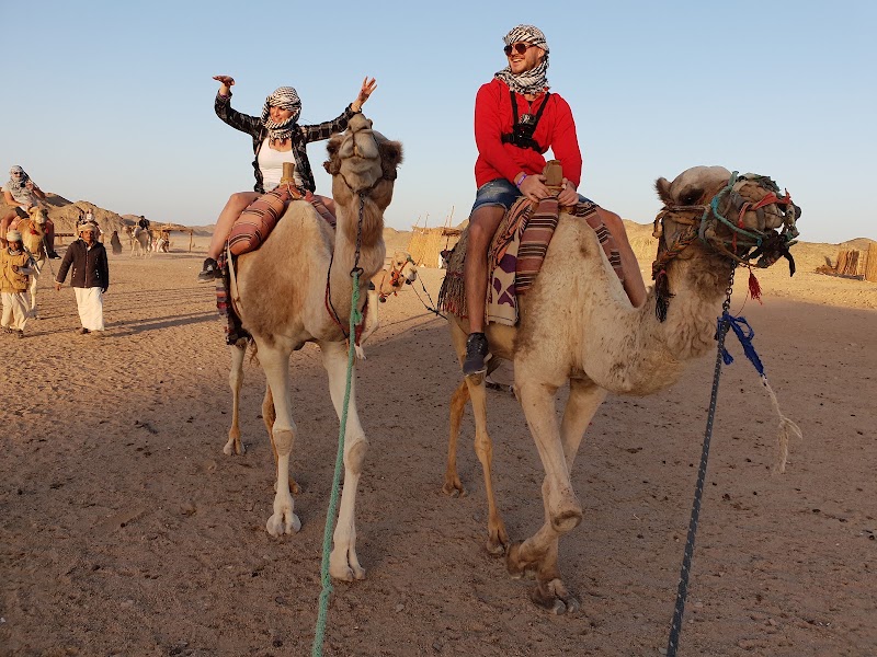 Photo 1 at Desert Egypt Safari in Al Kom Al Akhdar