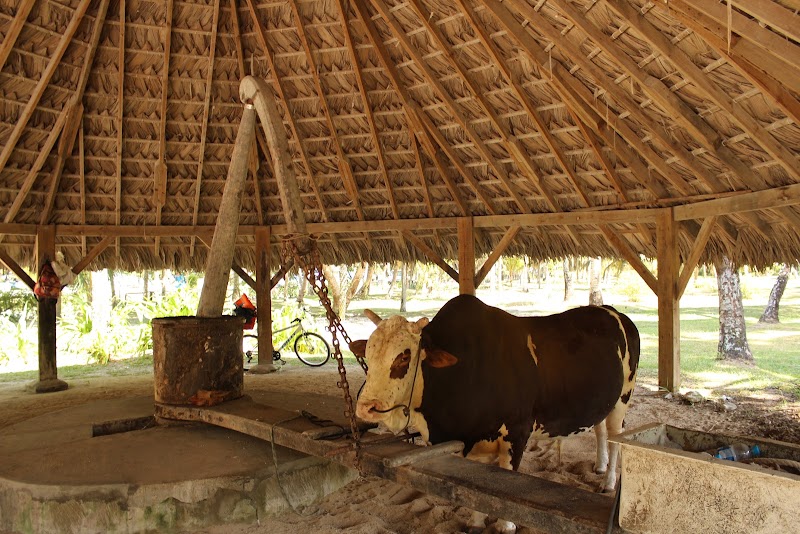 Photo 3 at L’Union Estate Farm in La Réunion