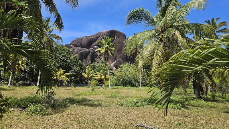 L’Union Estate Farm in La Réunion