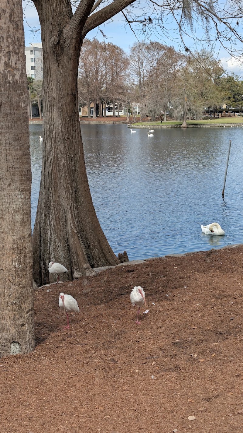 Photo 4 at Lake Eola Pagoda in Orlando