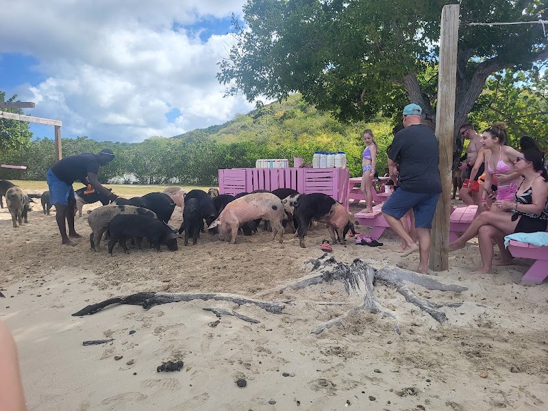 Photo 4 at Pig’s Paradise Antigua in St. Mary’s